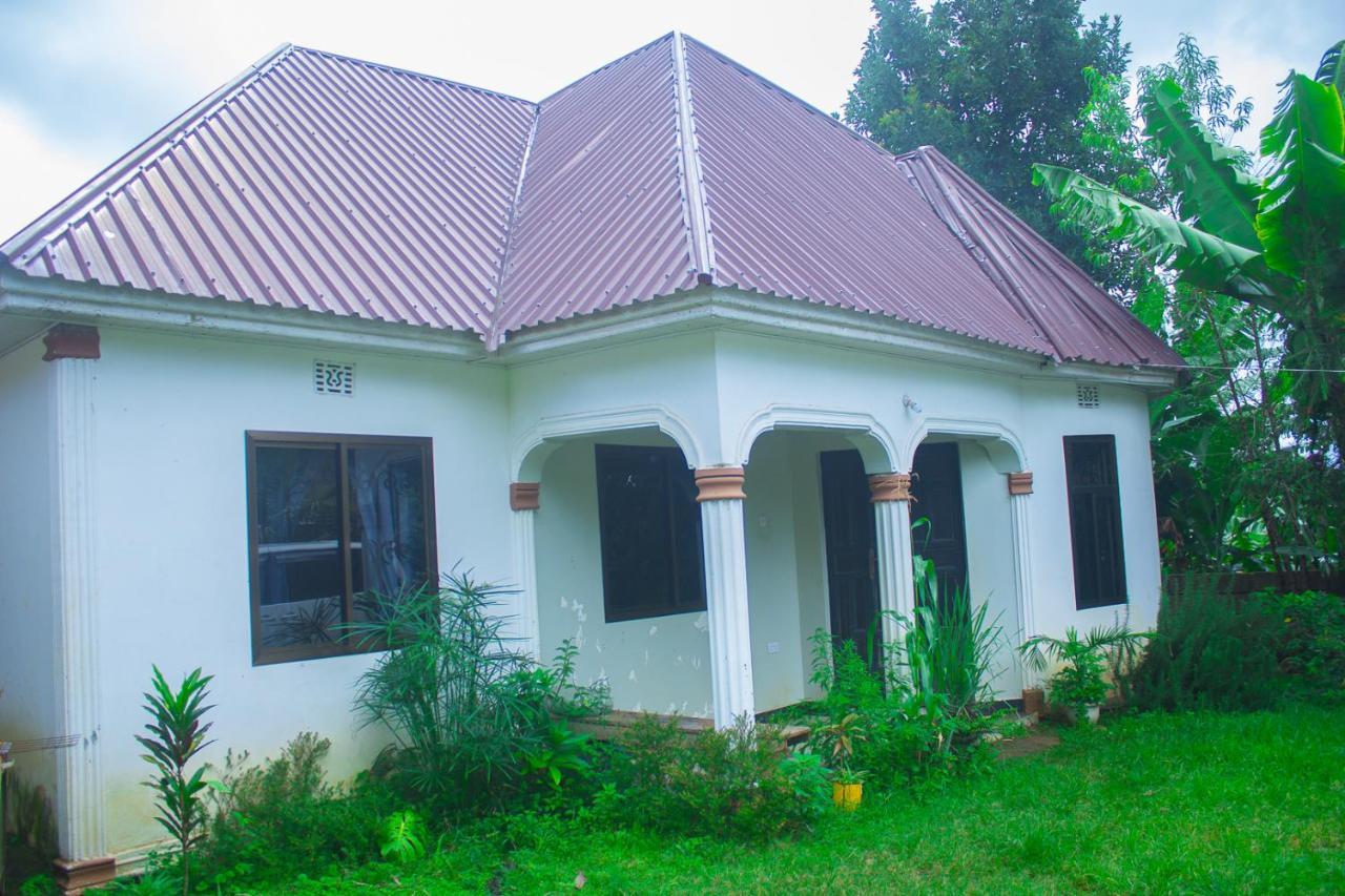 New Dream House Bed & Breakfast Arusha Exterior photo